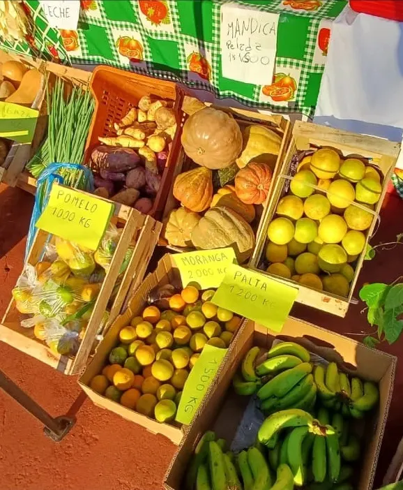Productos frescos en el Mercado de Productores